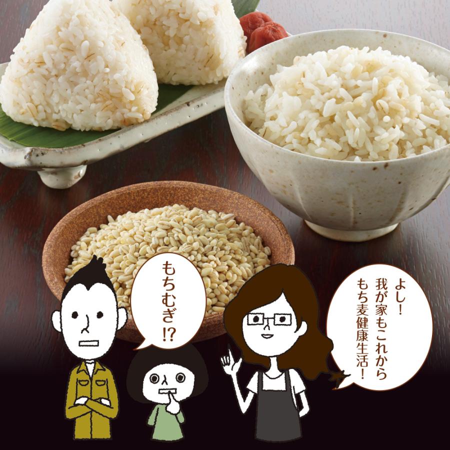 いなば園 BS Z もち麦 国産 九州産 900g 送料無料 パック おにぎり