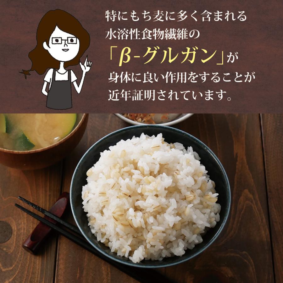 8月下旬頃発送予定 もち麦 国産 九州産 900g 送料無料 パック おにぎり ごはん ご飯 お米 無添加 食物繊維 スーパーフード ダイエット 健康 腸活 | いなば園 | 09