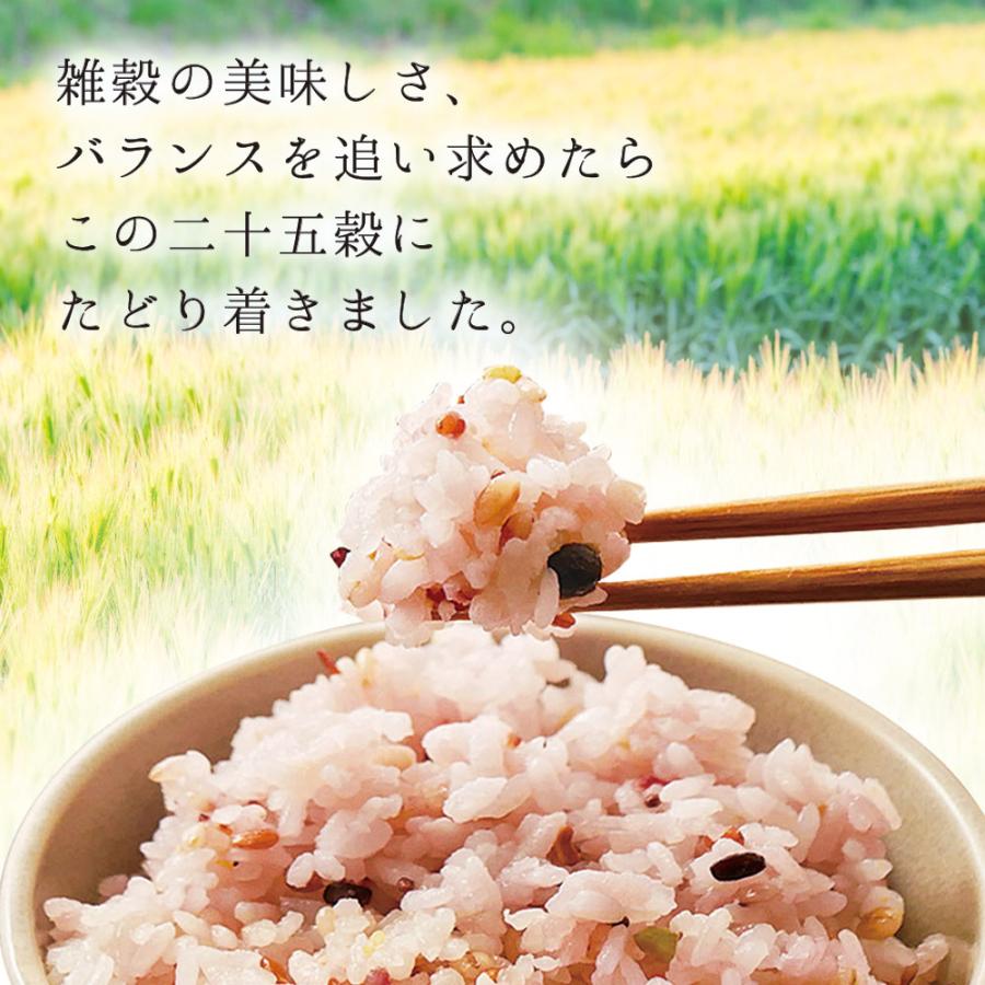 雑穀米 雑穀 国産 にっぽんの二十五穀 450g もち麦 国産 九州産 送料無料 パック おにぎり ごはん お米 無添加 食物繊維 ダイエット 健康 腸活 時短 調理｜chashoan｜13