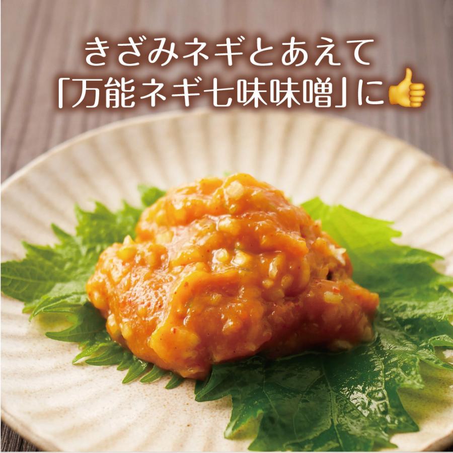 4年保証 味噌 みそ おかず七味味噌 1g メール便 送料無料 八幡屋礒五郎 ごはんのおとも ご飯のお供 ご飯のおとも 惣菜 お惣菜 時短 おかず 一人暮らし ポイント消化730円 Aynaelda Com