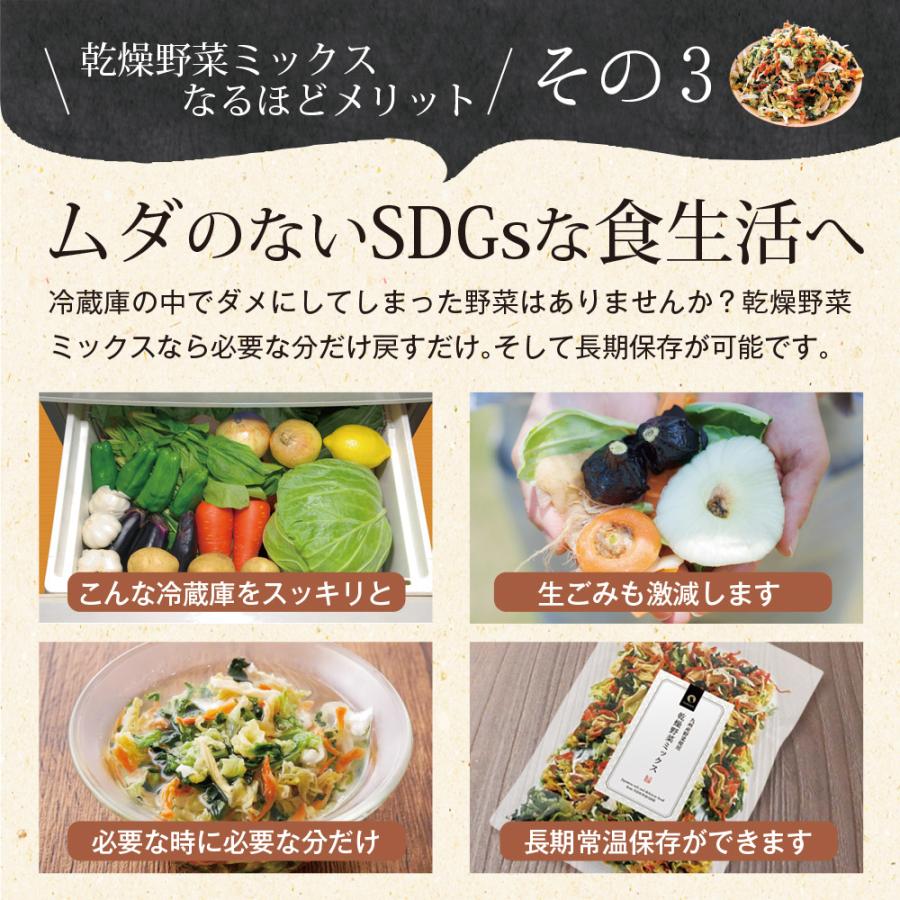 いなば園 Z BS 乾燥野菜ミックス 九州産 国産 干し野菜 ドライ野菜