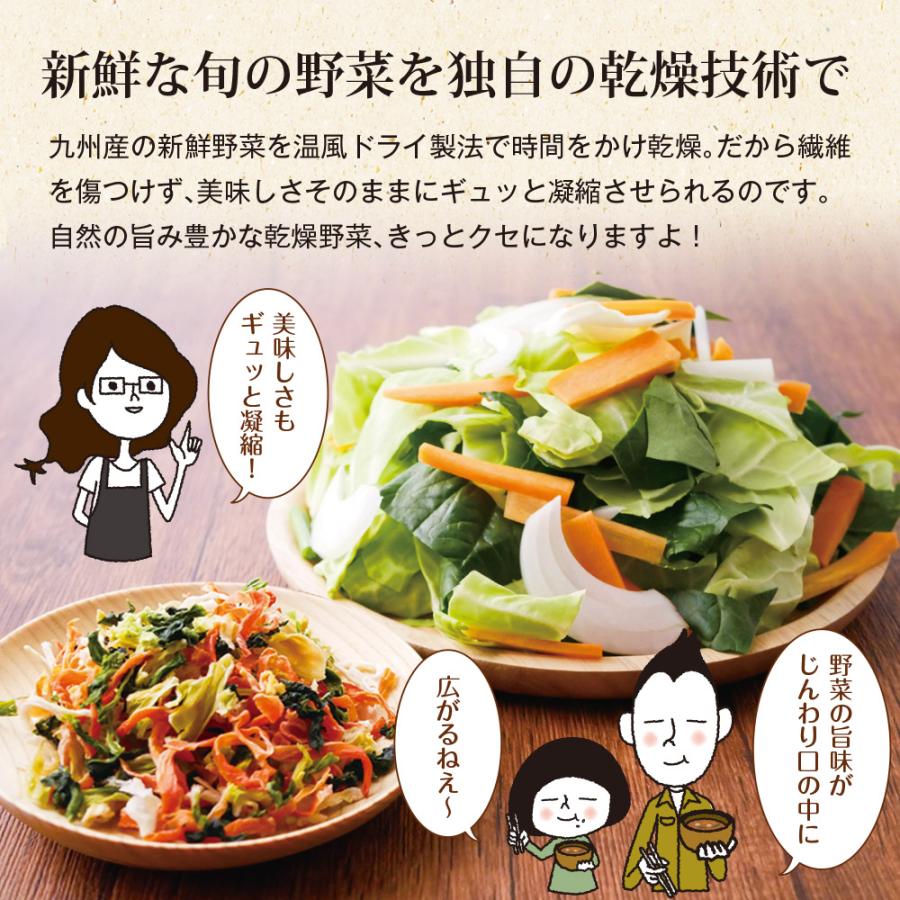 いなば園 Z BS 乾燥野菜ミックス 九州産 国産 干し野菜 ドライ野菜