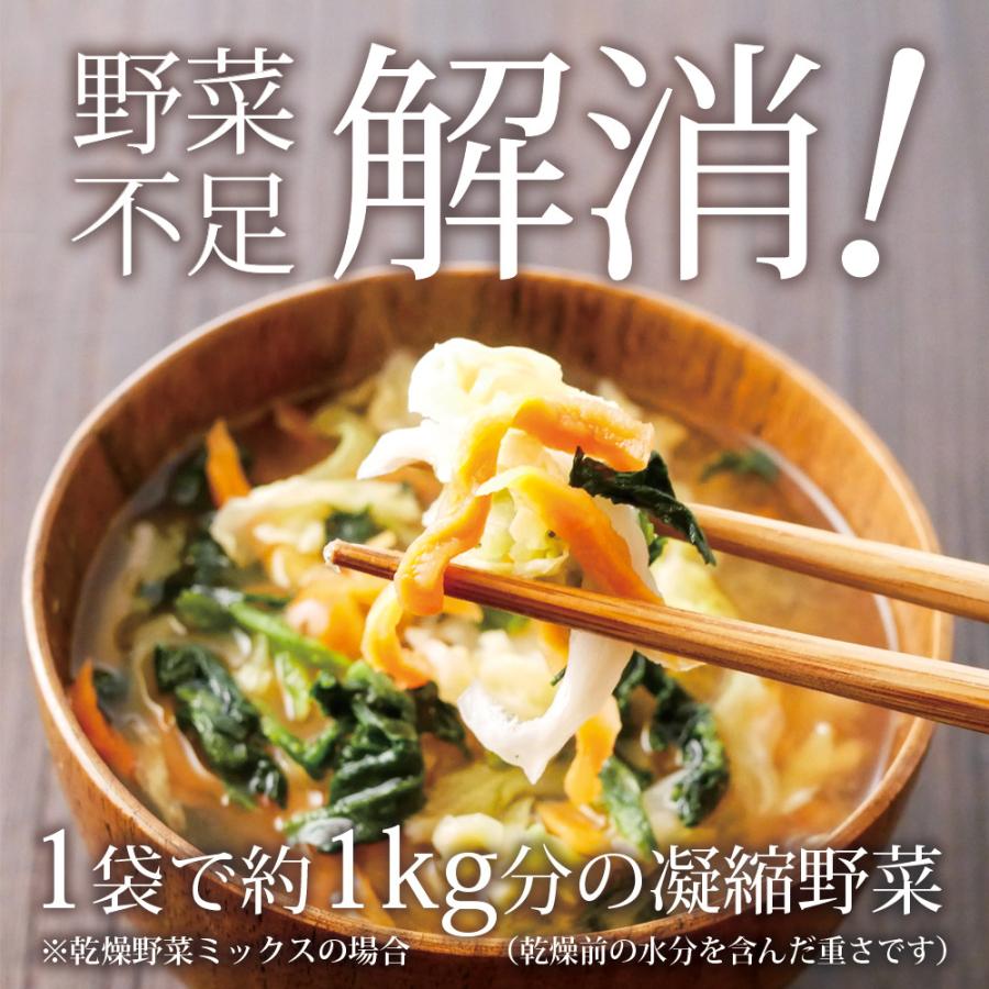 【そ　様】専用　乾燥野菜ミックス　ドライフルーツ　その他 いなば園 Z BS 乾燥野菜ミックス 九州産 国産 干し野菜 ドライ野菜
