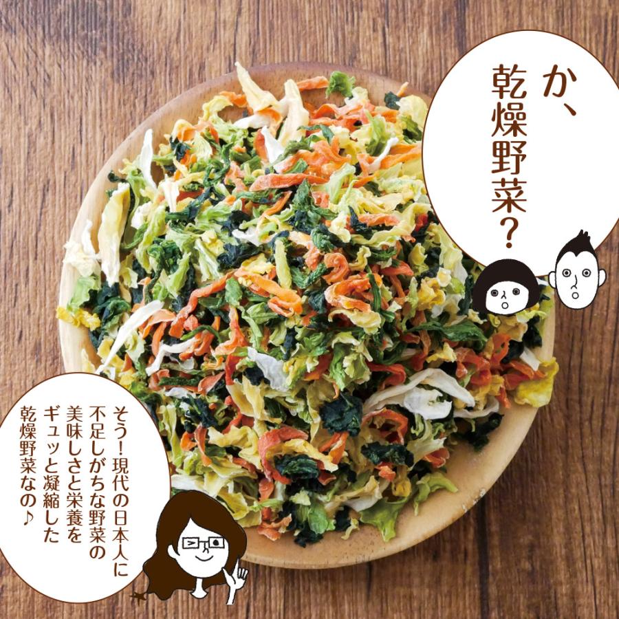 いなば園 Z BS 乾燥野菜ミックス 九州産 国産 干し野菜 ドライ野菜