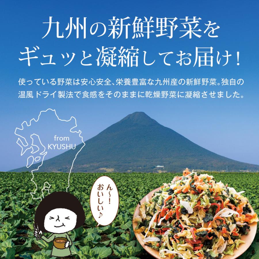 いなば園 Z BS 乾燥野菜ミックス 九州産 国産 干し野菜 ドライ野菜