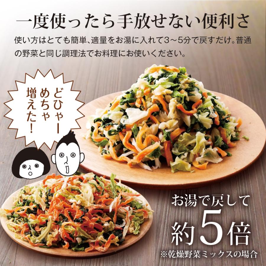 いなば園 Z BS 乾燥野菜ミックス 九州産 国産 干し野菜 ドライ野菜