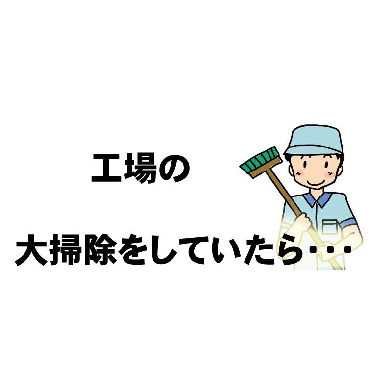 お茶 深蒸し茶 訳あり 深蒸し荒茶の福袋 メール便 送料無料 緑茶 静岡茶 茶葉 深むし茶 日本茶 葉酸｜chashoan｜04