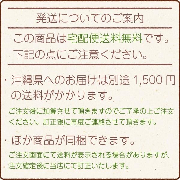 お歳暮 ギフト プレゼント 2022 お茶 静岡茶 深蒸し茶ギフトA 送料無料 贈り物 プレゼント 香典返し 返礼品 内祝い 御歳暮|chashoan|02