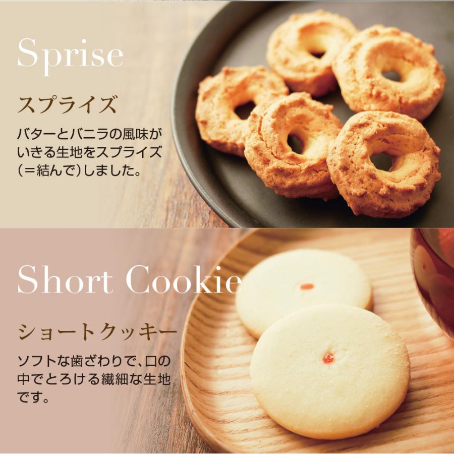 泉屋東京店 泉屋 スペシャルクッキーズ A-500 送料無料 快気祝い
