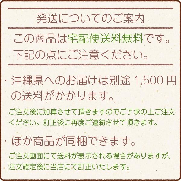 ヤングビーナス ヤングビーナス詰め替え 2200g 2.2kg 送料無料 温泉に近い入浴剤として話題 入浴剤 湯の花 保温 保湿力｜chashoan｜02