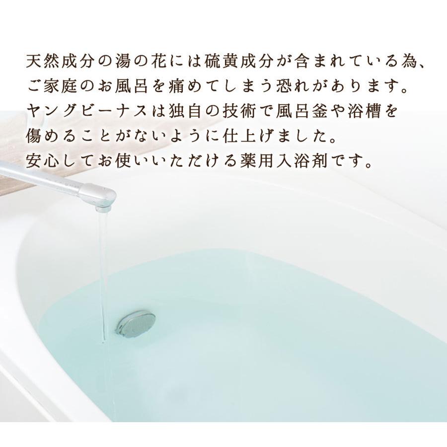 ヤングビーナス ヤングビーナス詰め替え 2200g 2.2kg 送料無料 温泉に近い入浴剤として話題 入浴剤 湯の花 保温 保湿力｜chashoan｜13