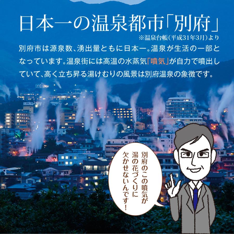 別府 美容の湯 720g メール便 送料無料 ヤングビーナス 温泉 入浴剤 湯の花 明礬の花 ヤング ビーナス 天然 湯の華 別府温泉 ポイント消化 | ヤングビーナス | 05