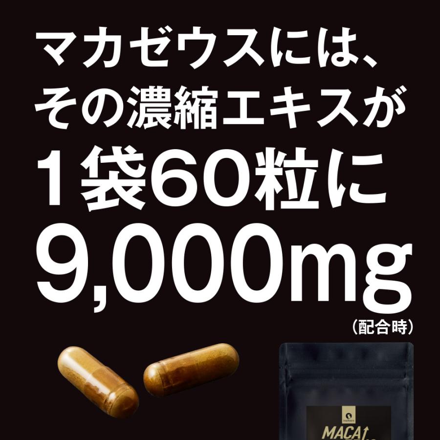 Z 賞味期限2026年2月28日 マカサプリメント マカゼウス 60粒 約一か月