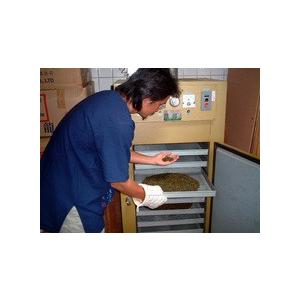 清香烏龍茶（四季春）60g |  | 05