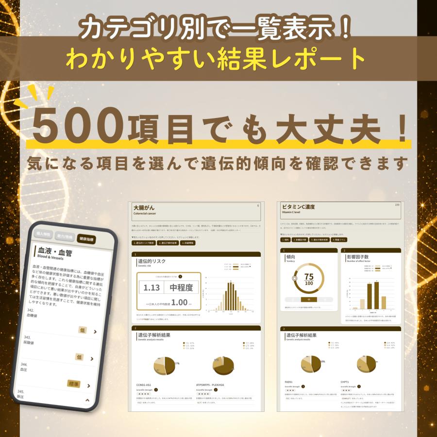 祖先 遺伝子検査キット chatGENE Pro 500項目 DNA解析 ハプロ ルーツ