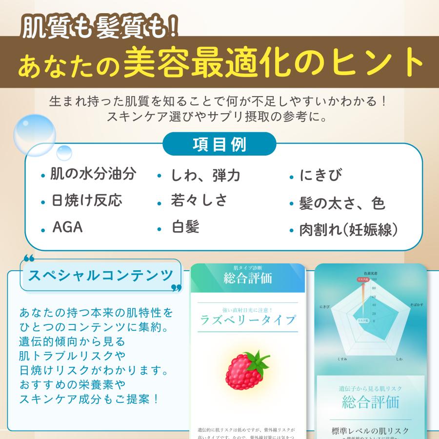 公式】 祖先 遺伝子検査キット chatGENE Pro 500項目 DNA解析 ハプロ