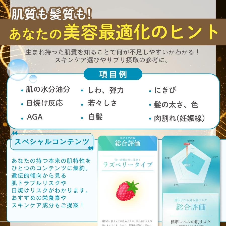 50%OFF 7/12まで！】 祖先 遺伝子検査キット chatGENE Pro 500項目 DNA