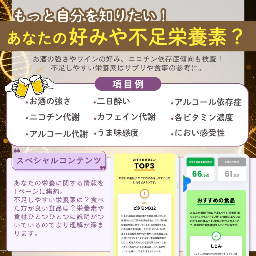 祖先 遺伝子検査キット chatGENE Pro 500項目 DNA解析 ハプロ ルーツ