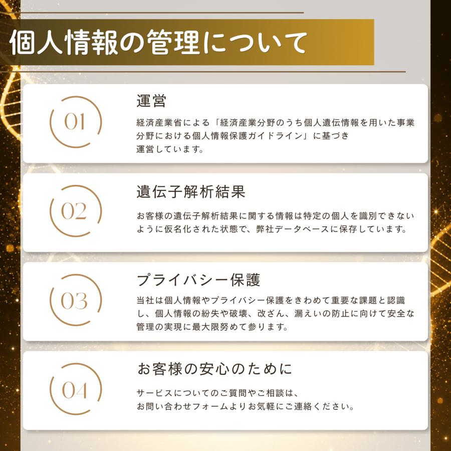 祖先 遺伝子検査キット chatGENE Pro 500項目 DNA解析 ハプロ ルーツ