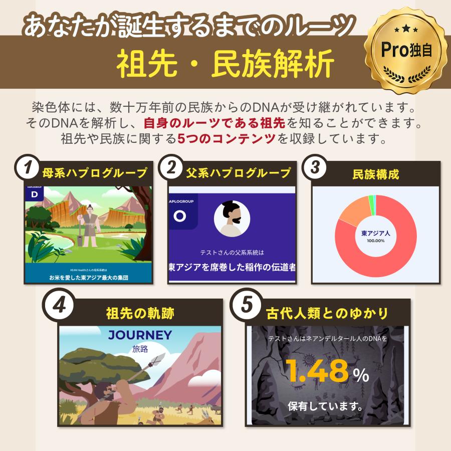 公式】 祖先 遺伝子検査キット chatGENE Pro 500項目 DNA解析 ハプロ