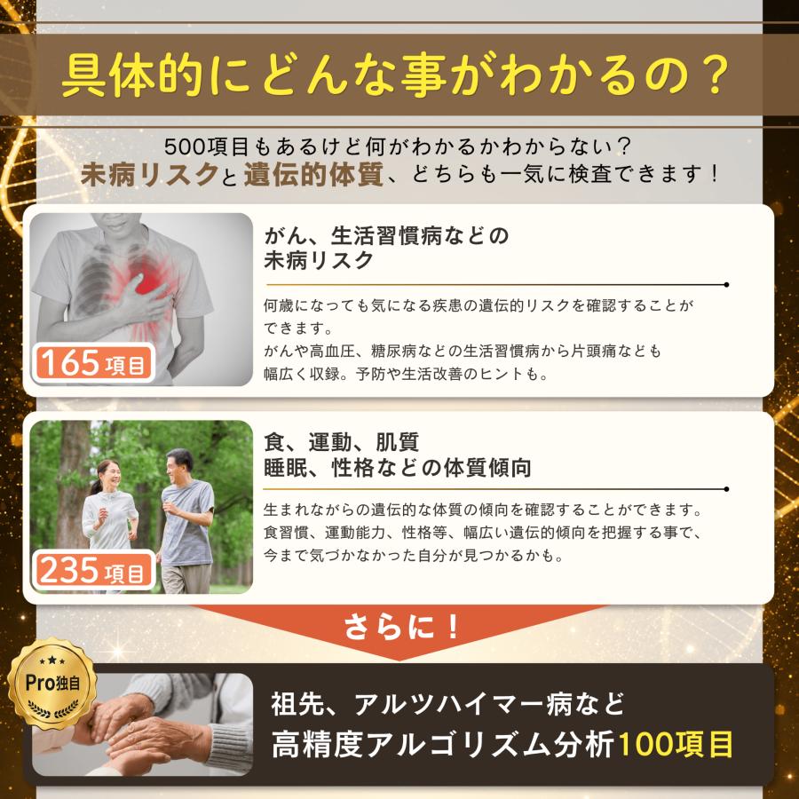 祖先 遺伝子検査キット chatGENE Pro 500項目 DNA解析 ハプロ ルーツ