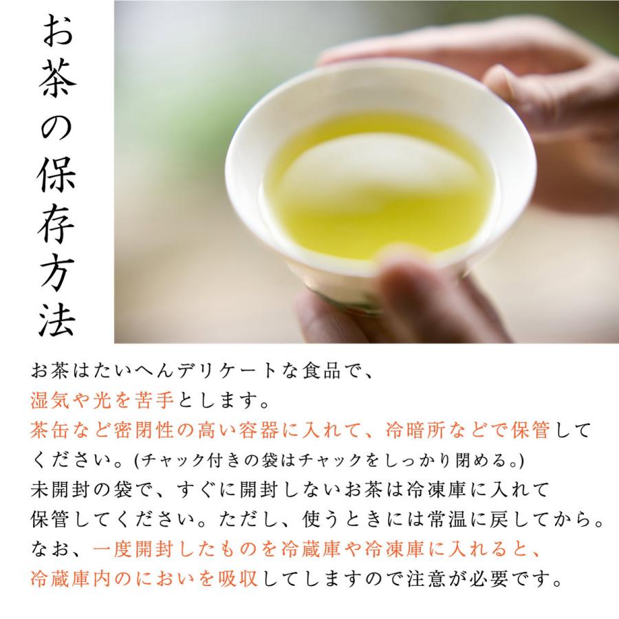 高級煎茶 深蒸し掛川茶 10+1本セット 100g袋入×11本 掛川茶 煎茶 緑茶 高級緑茶 静岡茶 深蒸し茶 茶葉 セット 贈答 ギフト_13