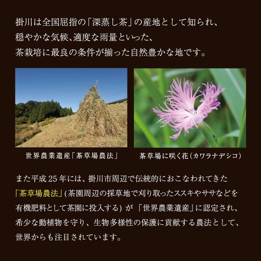 粉末玄米茶 50g入 玄米茶 玄米 粉末 パウダー 粉末茶 :1216:掛川茶通販 茶つみの里 - 通販 - Yahoo!ショッピング 粉末玄米茶 50g入 玄米茶 玄米 粉末 パウダー 粉末茶 :1216:掛川茶通販 茶つみの里 - 通販 - Yahoo!ショッピング