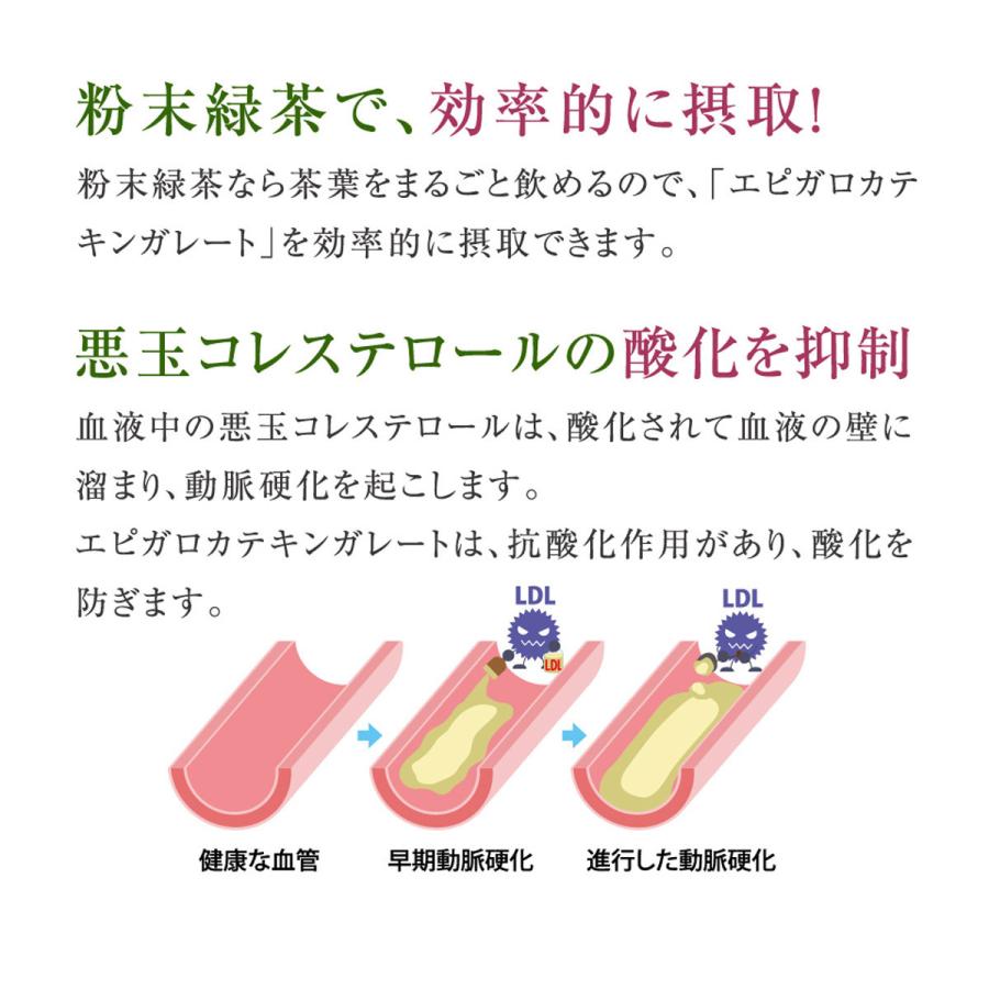 人気商品のいつでもどこでも携帯煎茶 水はもちろん 塩や焼酎 スイーツにもかけちゃおう エピガロカテキンガレートの抗酸化作用で悪玉コレステロールを撃退 粉末茶 お手軽 粉末茶ペン 日本茶 粉末煎茶 家庭用 煎茶 メディア掲載 粉末煎茶で血管の老化 動脈硬化予防