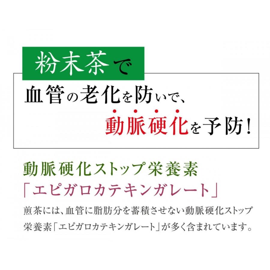 緑茶 粉末 業務用 粉末緑茶 大容量 500g入 お得 粉末茶 送料無料｜chatsuminosato｜03