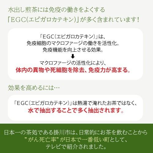 水出し 抹茶入 緑茶 ティーバッグ 5g×16包入 緑茶 茶葉 静岡茶 深むし茶 ティーパック｜chatsuminosato｜04