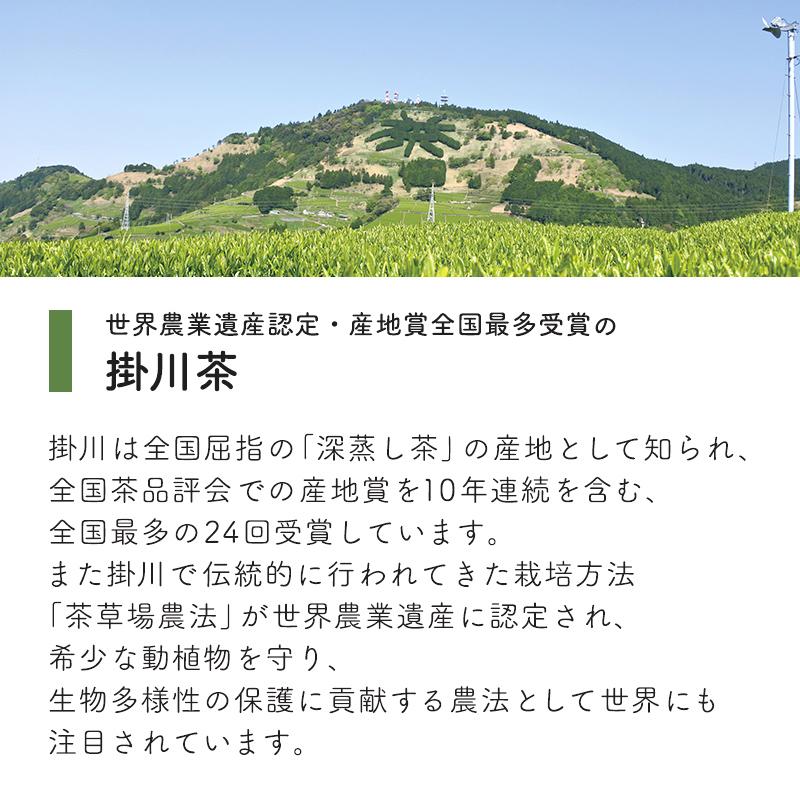 緑茶 ティーバッグ お徳用 抹茶入り 深蒸し茶ティーパック 2.5g×100包入 お茶 掛川茶 静岡茶 業務用 水出し茶 日本茶 煎茶 | 茶つみの里 | 07