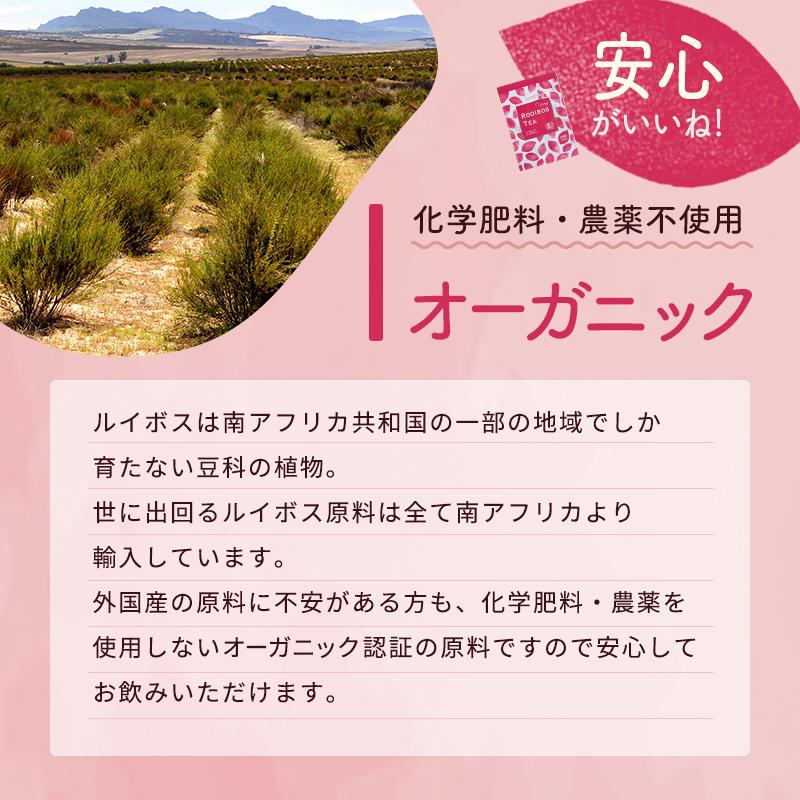 オーガニック ルイボスティー 3g×100包入 お徳用 ティーバッグ 有機 ルイボス 妊活 妊婦 美容 健康茶 ティーパック ノンカフェイン お茶 ノンカロリー | 茶つみの里 | 07