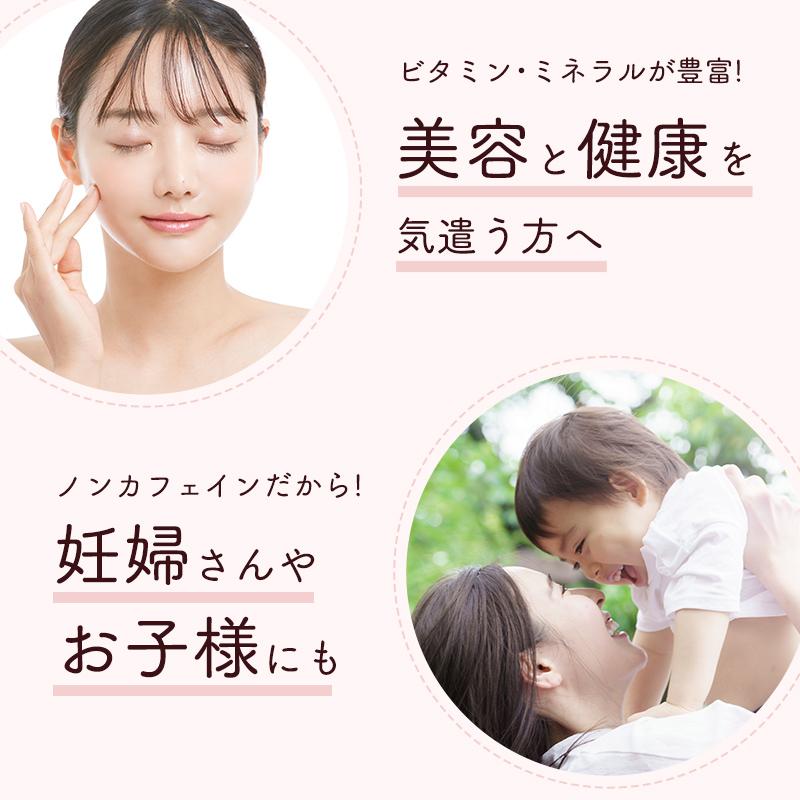 オーガニック ルイボスティー 3g×100包入 お徳用 ティーバッグ 有機 ルイボス 妊活 妊婦 美容 健康茶 ティーパック ノンカフェイン お茶 ノンカロリー | 茶つみの里 | 09