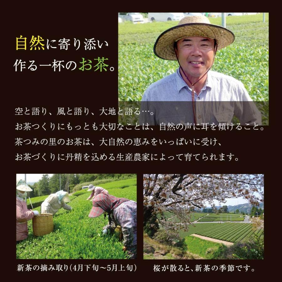 抹茶入玄米茶 ティーバッグ 2.5g×100包入 お徳用 玄米茶 ティーパック 緑茶 掛川茶 お茶 静岡茶 業務用 水出し茶 日本茶 | 茶つみの里 | 06