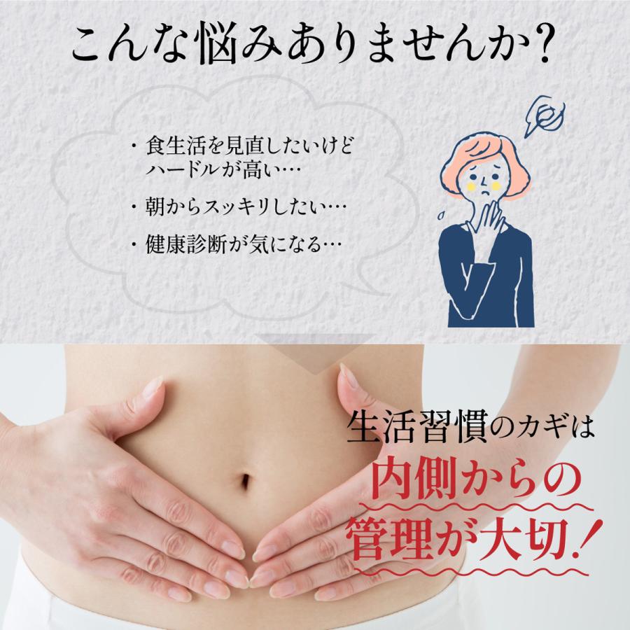 茶つみの里 国産 菊芋ごぼう茶 ティーバッグ 2g×100包 ノンカフェイン