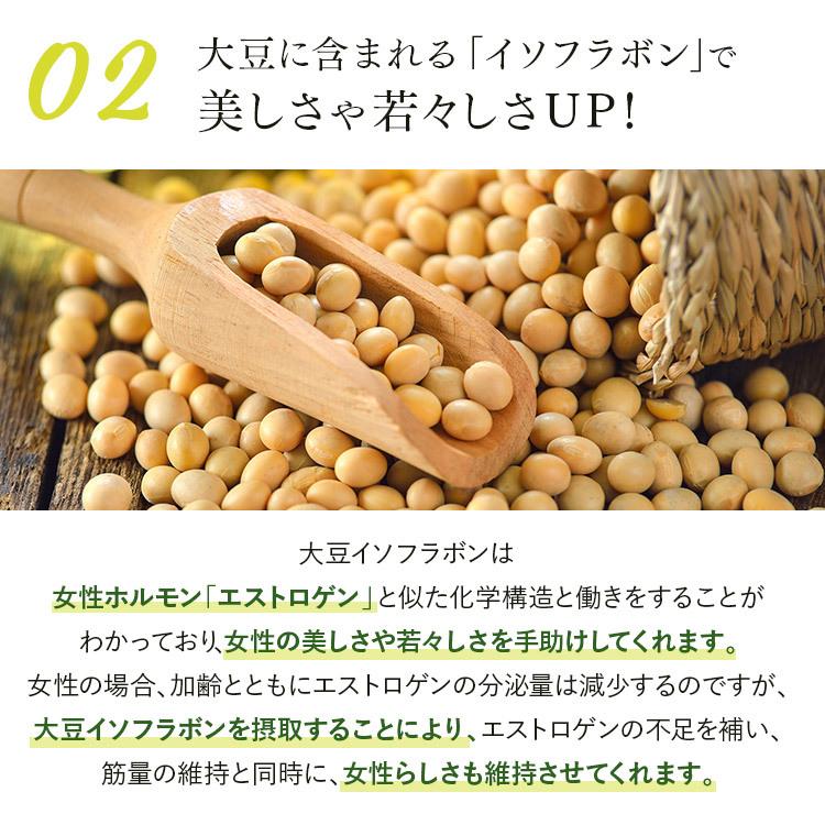 ソイプロテイン 抹茶ラテ味 330g 国産抹茶使用 大豆プロテイン 女性 低
