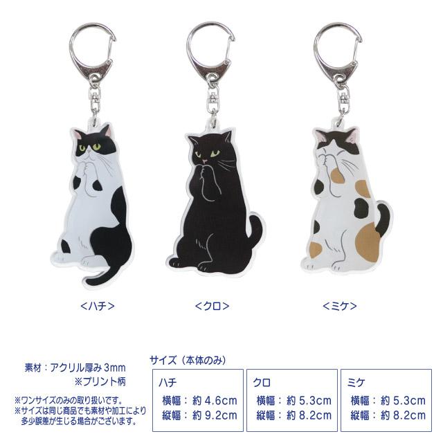 猫ひた 小林希大 ８点 セット 購入者 おまけ付き 名前アクリルキーホルダー 猫のひたいほどワイド 小林希大 セット おまけ付き 名前