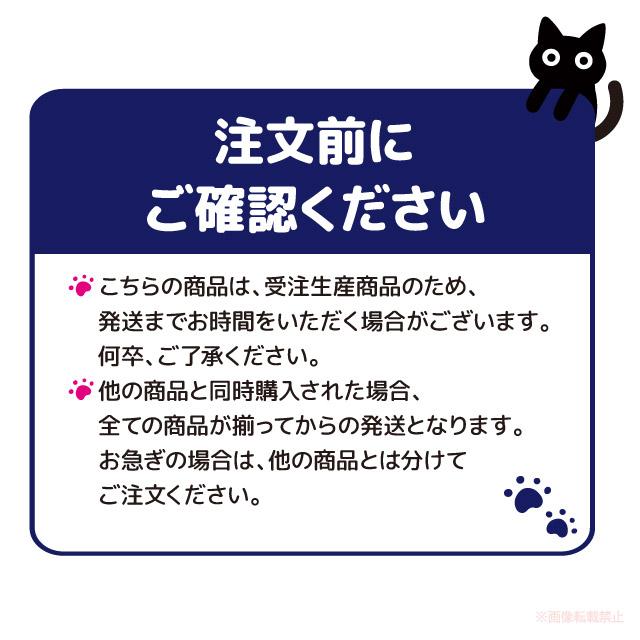 メール便対応] ニャンポップ蓄光アンブレラマーカー(音楽 音符 猫