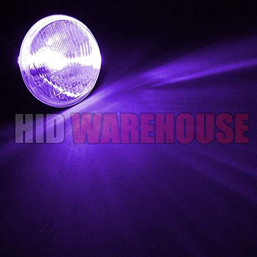 公式セールサイト HIDWarehouseスリムACバラスト付55 W ACキセノンバンドル (1組) -H 13/9008 12000 K-12 Kパープルキセノン電球 (1組)
