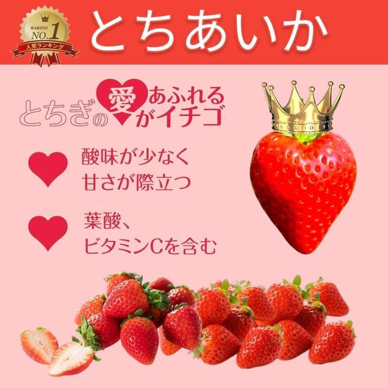 10KG 新鮮いちご 箱入り　B品　ジャム　加工　とちあいか 栃木県産 とちあいかジャム 155g : Chatty Shop - 通販 - Yahoo