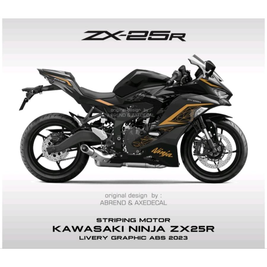 KAWASAKI ZX25R 2023モデル デカール ストライピング ステッカー KAWASAKI ZX25R 2023モデル デカール ストライピング ステッカー