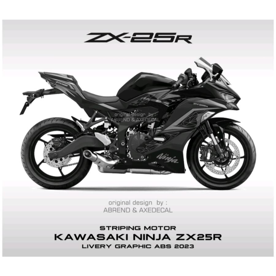 KAWASAKI ZX25R 2023モデル デカール ストライピング ステッカー KAWASAKI ZX25R 2023モデル デカール ストライピング ステッカー
