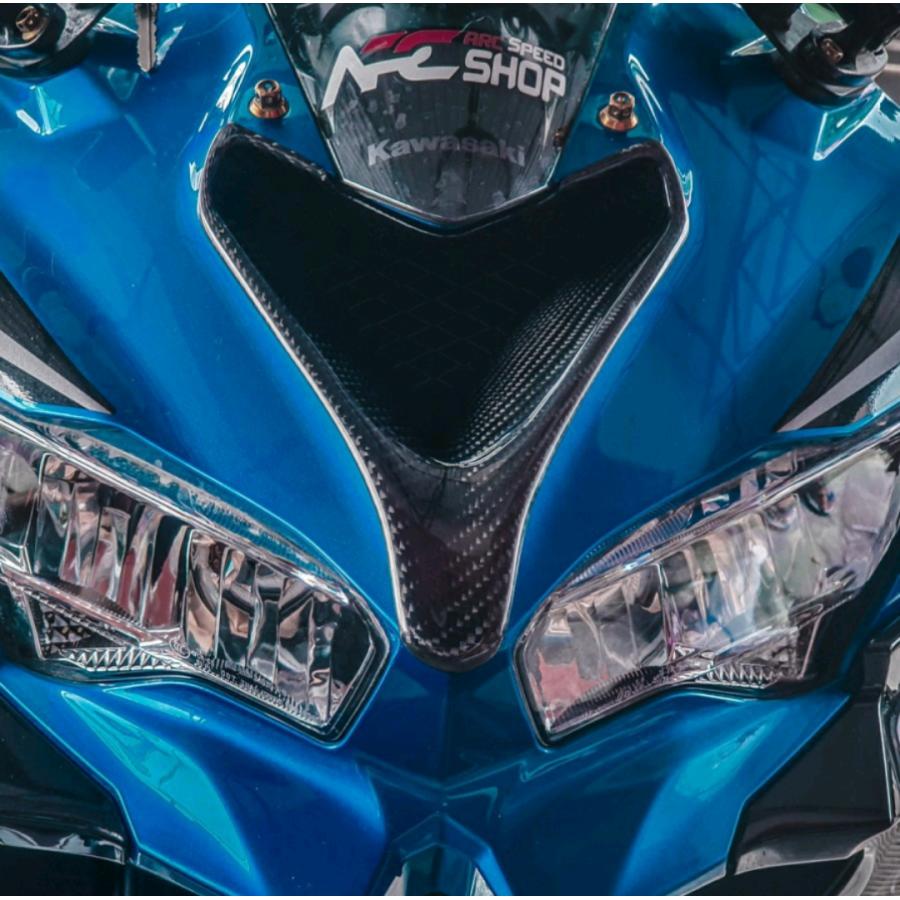 KAWASAKI ZX25R カスタム カーボン調 ウイングレット KAWASAKI ZX25R カスタム カーボン調 ウイングレット