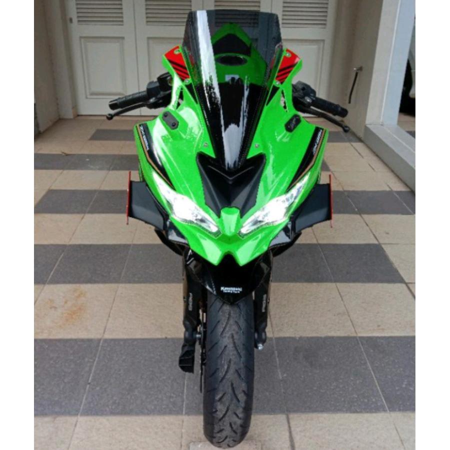ZX25R ウイングレット(インドネシア製カーボン) KAWASAKI ZX25R