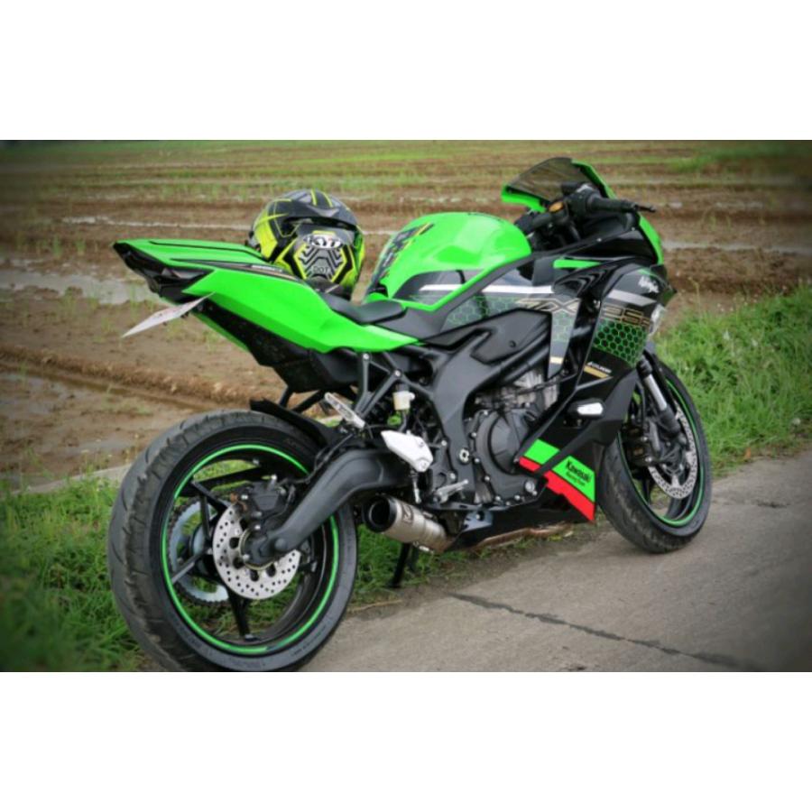 KAWASAKI ZX25R NINJA ショートマフラー シルバー フルシステム KAWASAKI ZX25R NINJA ショートマフラー シルバー フルシステム