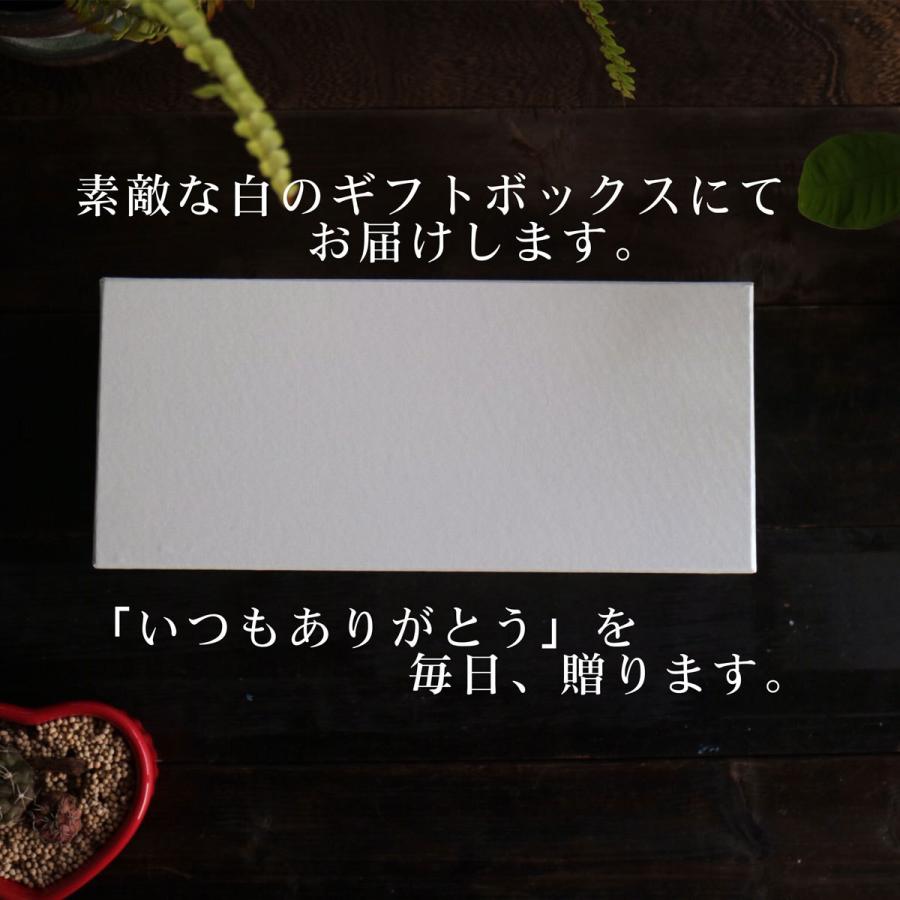 名入れ ロックグラス ペアセット 225ml 毎日手紙になるグラス 高級ギフトボックス入 感謝のメッセージ 名入れギフト 記念日 誕生日 名入れ プレゼントの画像