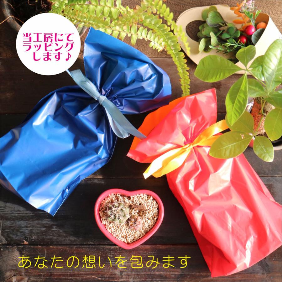 名入れ ロックグラス ペアセット 225ml 毎日手紙になるグラス 高級ギフトボックス入 感謝のメッセージ 名入れギフト 記念日 誕生日 名入れ プレゼントの画像