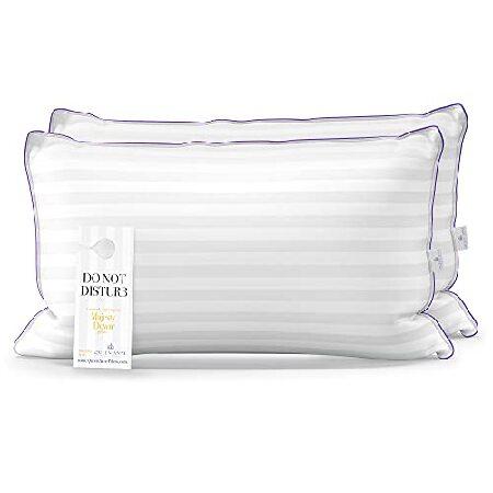 Queen Anne Pillow Company 枕 2個パック 弊社のベストセラー Heavenly Down 豪華 低刺激性 アレルギーの方向け