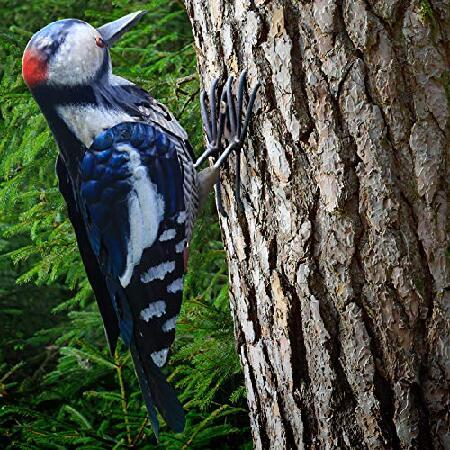 日本人気超絶の Spring Outdoor | Art Yard Bird Metal Woodpecker Decoration H Statue, Garden オーナメント、オブジェ