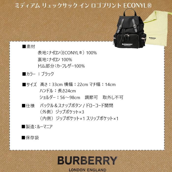 【美品】バーバリー　リュック　バックパック　ボーダー柄　ロゴ型押し　ヌメ革大容量 imgrc0084240498.jpg